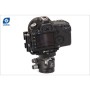 LEOFOTO ROTULE LH-40+QP-70