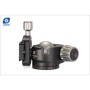 LEOFOTO ROTULE LH-40+QP-70