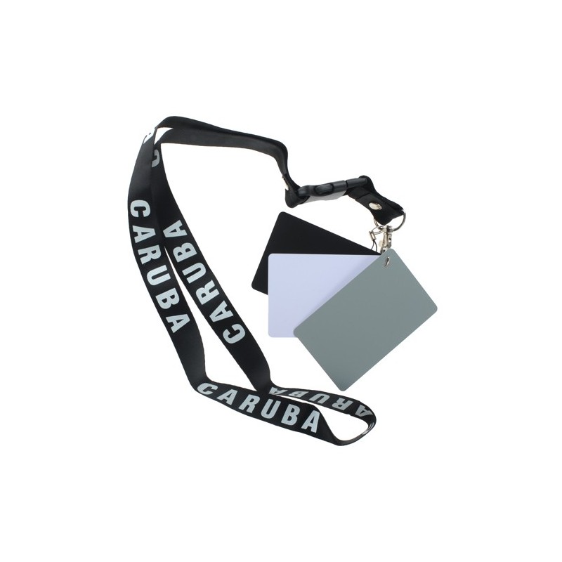 CHARTE GRIS NEUTRE DGC-2  13 cm x10 cm